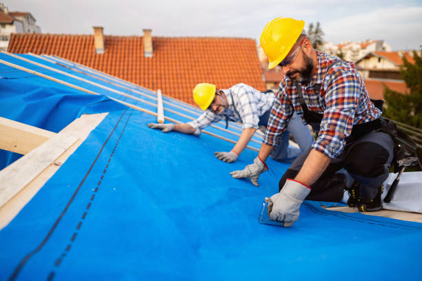 Sealant for Roof in Silver Hill, MD